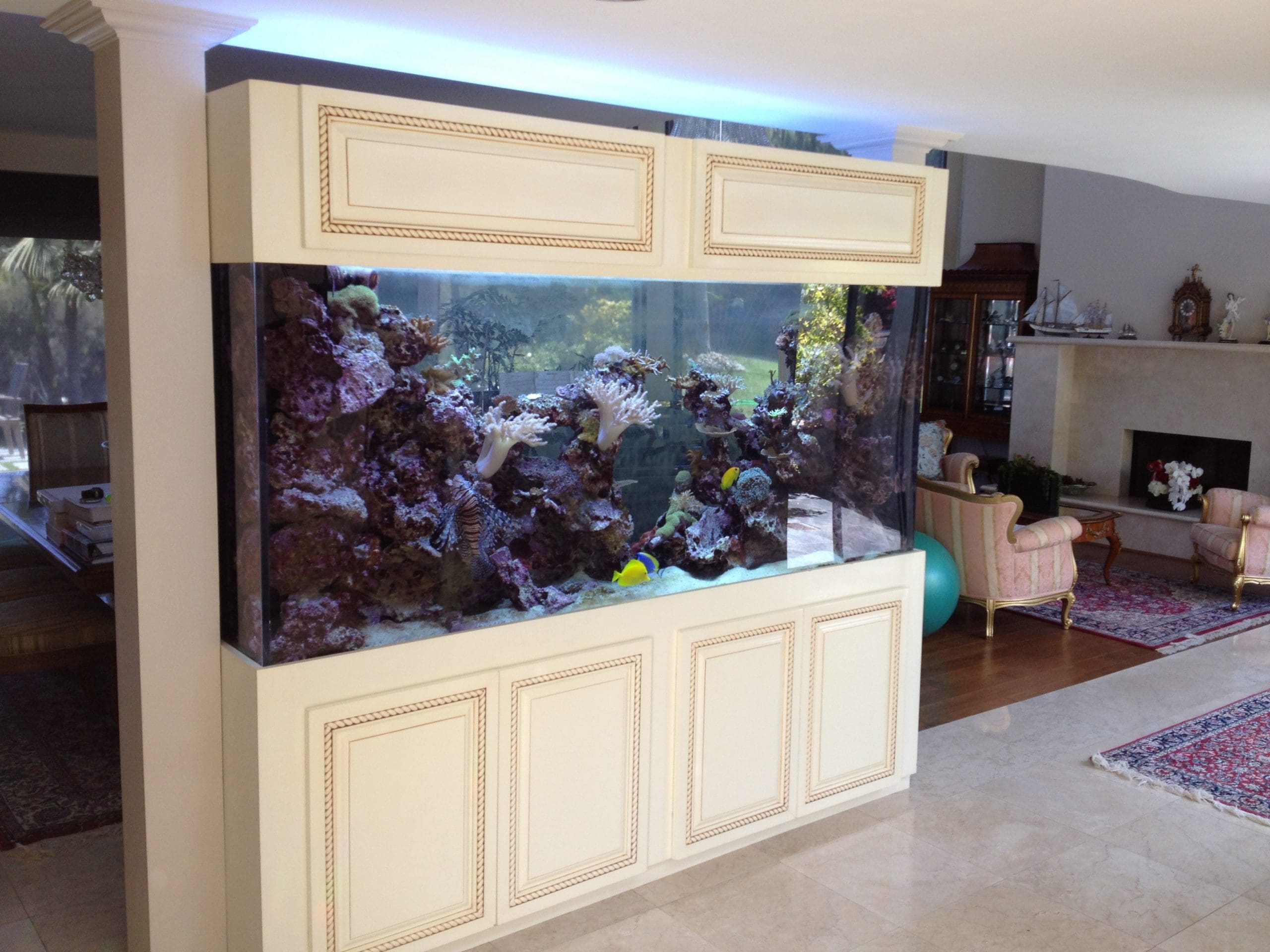 Pacific Palisades 400 gallon live coral reef aquarium Pacific Palisades 400 gallon live coral reef aquarium